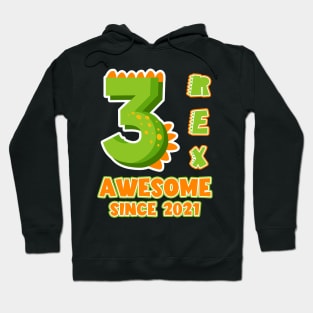 3rd Birthday Dinosaurs Themed Bday Gift For Boys Kids Hoodie